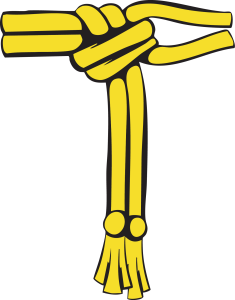 cbf_site_v1_grad_adulto_02_alunograu2 Pontinhas Crua/Amarela